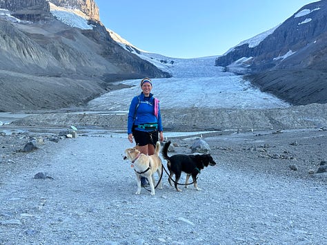 Images of mountain and forest scenes across Canada