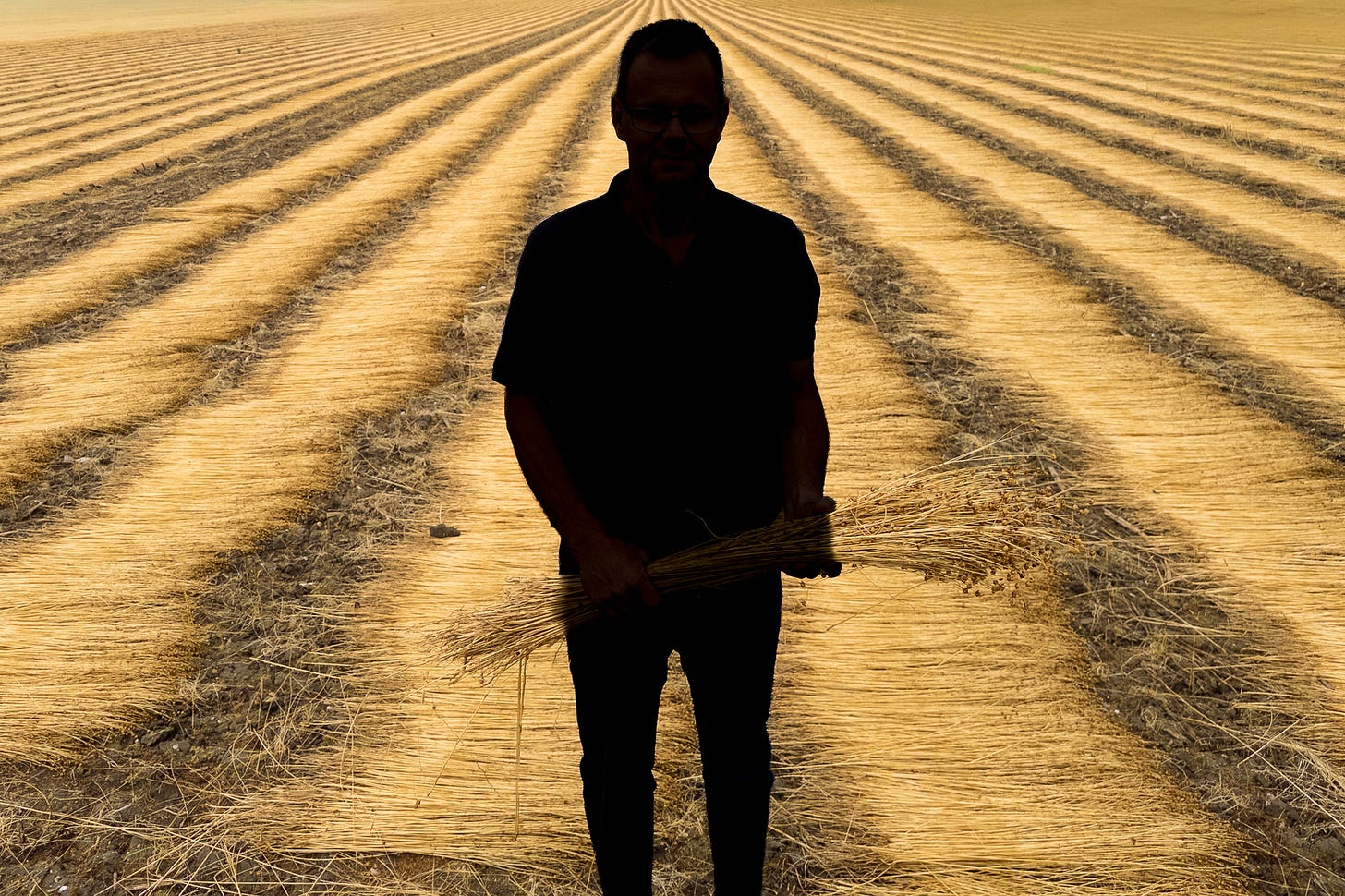 Bewusst anonymisierter Landwirt als dunkle Silhouette in einem abgeernteten Flachsfeld. In den Händen hält er ein Bündel getrockneter Flachspflanzen mit Samenkapseln. Hinter ihm ziehen sich lange, parallel ausgelegte Reihen des geernteten Flachses bis zum Horizont.