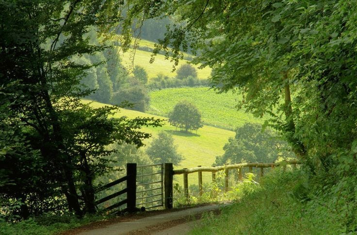 This may contain: a wooden gate on the side of a dirt road next to a lush green hillside