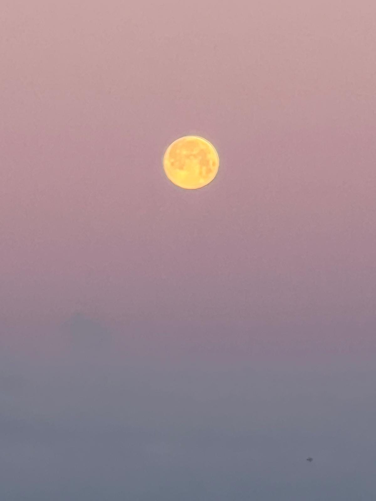 a glowing tangerine moon infront of a purple ombre to blue sky
