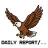 Daily Report
