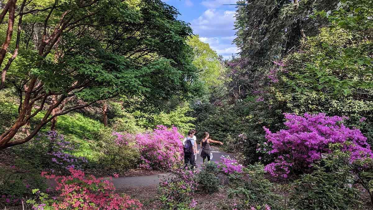 Highland Park cover Highland Park cover