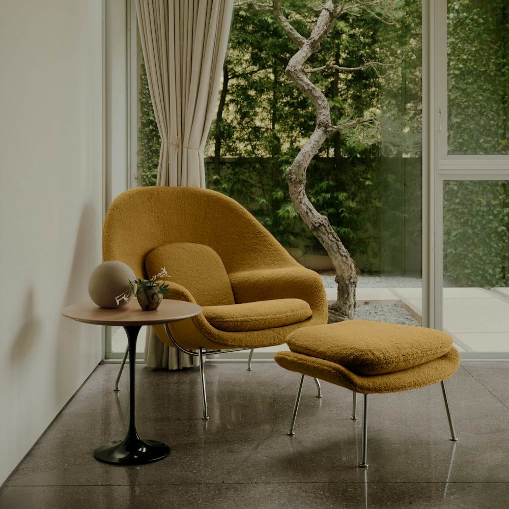 Womb Chair, Standard | Knoll