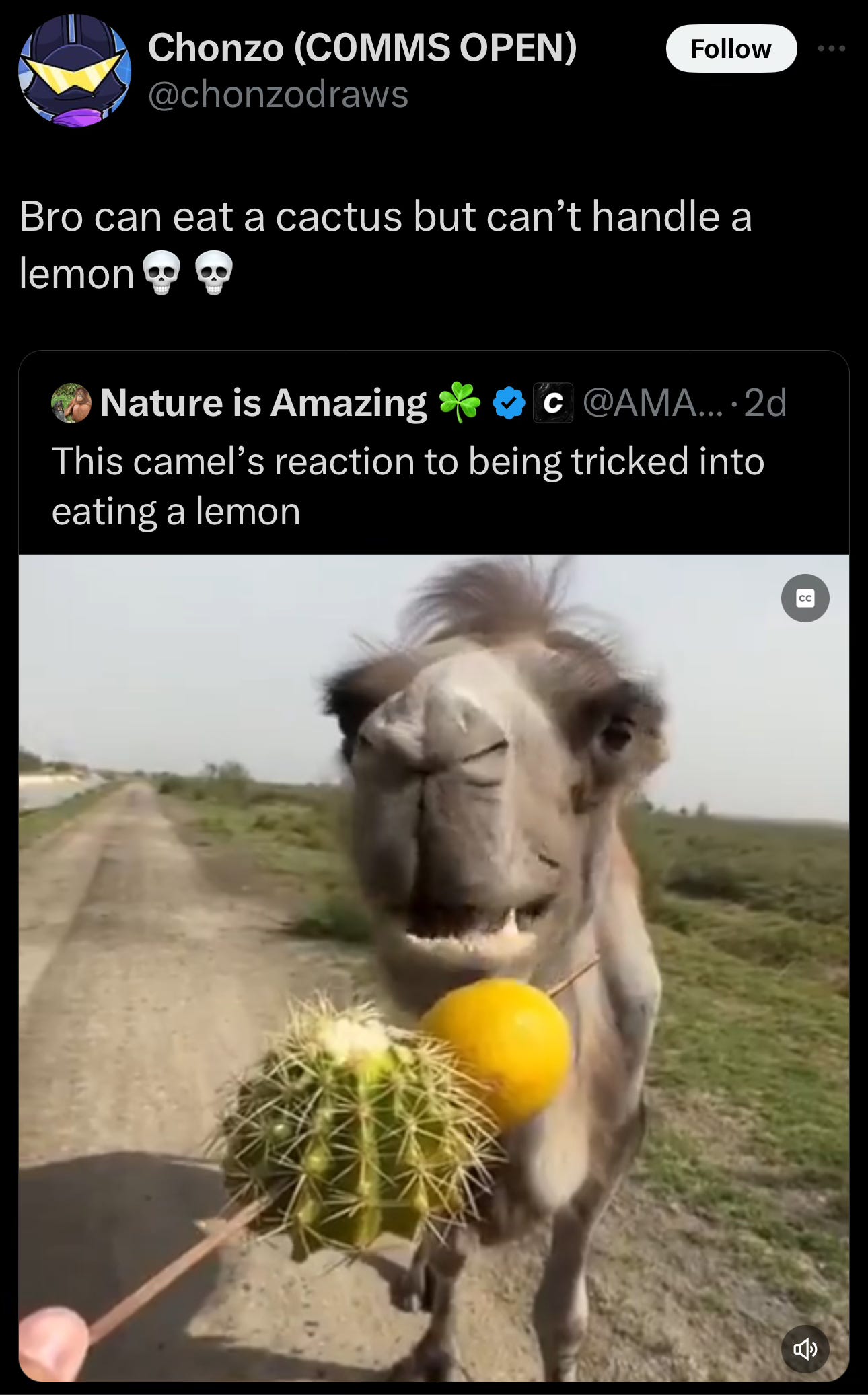 Image.heic Image.heic