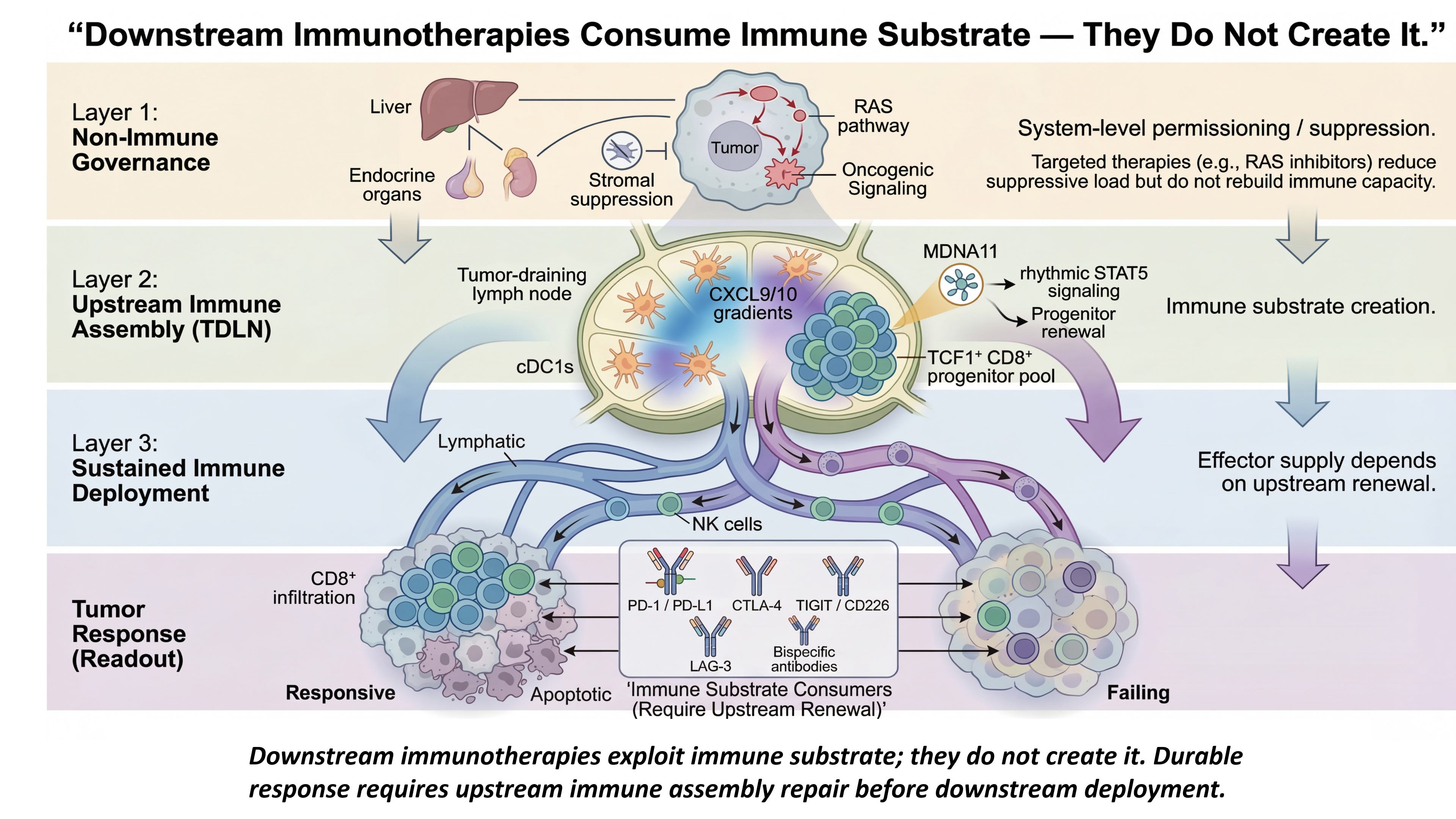 Tumor Response Is Not the Control Layer - David’s Substack