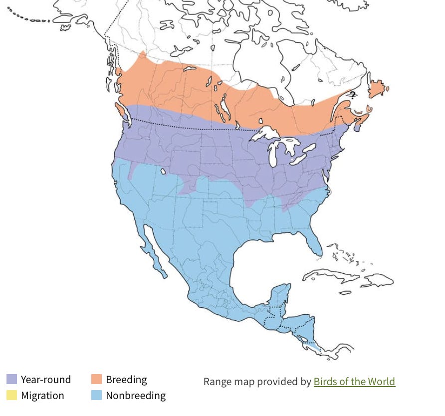 Screen Shot 2023-01-22 at 7.17.40 PM.png