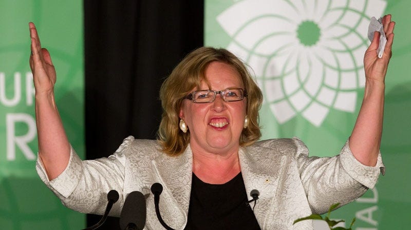 Elizabeth May wins seat | CTV News