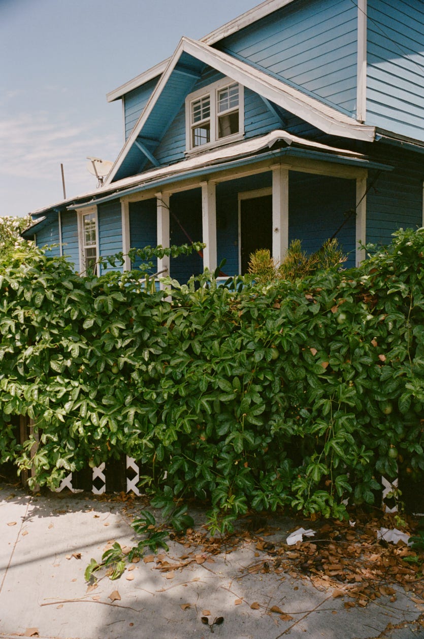 Balo's blue house encased in passionfruit vines
