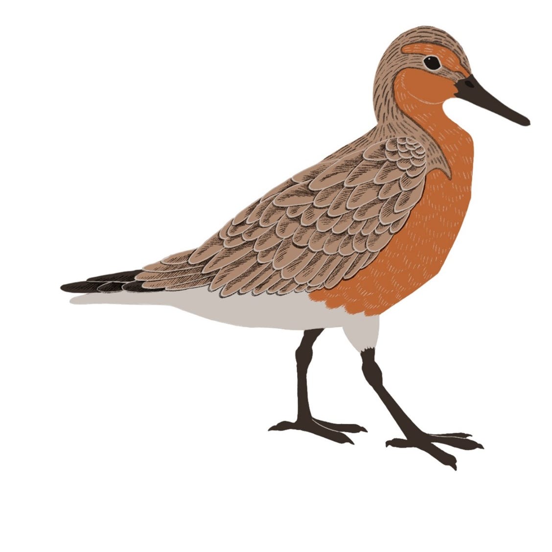 Encouragement Sweet Spot