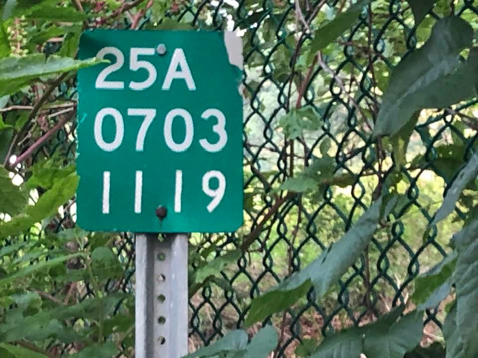 May be an image of grass, tree and text