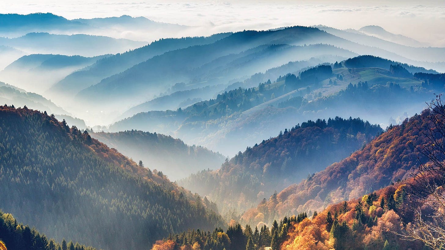 The Black Forest Travel Guide | What to do in The Black Forest | Rough  Guides