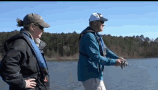 Fish Fishing GIF - Fish Fishing Hooked GIFs