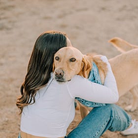 The Biggest Mistake People Make When Deciding To Euthanize Their Pet (And How To Avoid It)