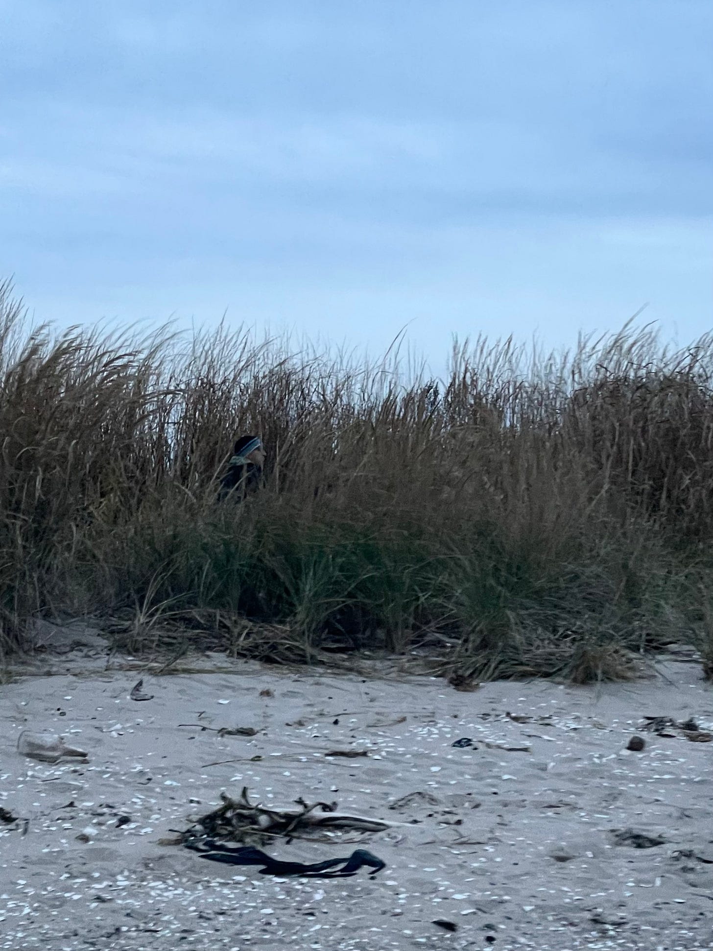 Man in the dune grass