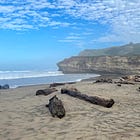 San Gregorio nude beach to close for construction, reopen under State Parks