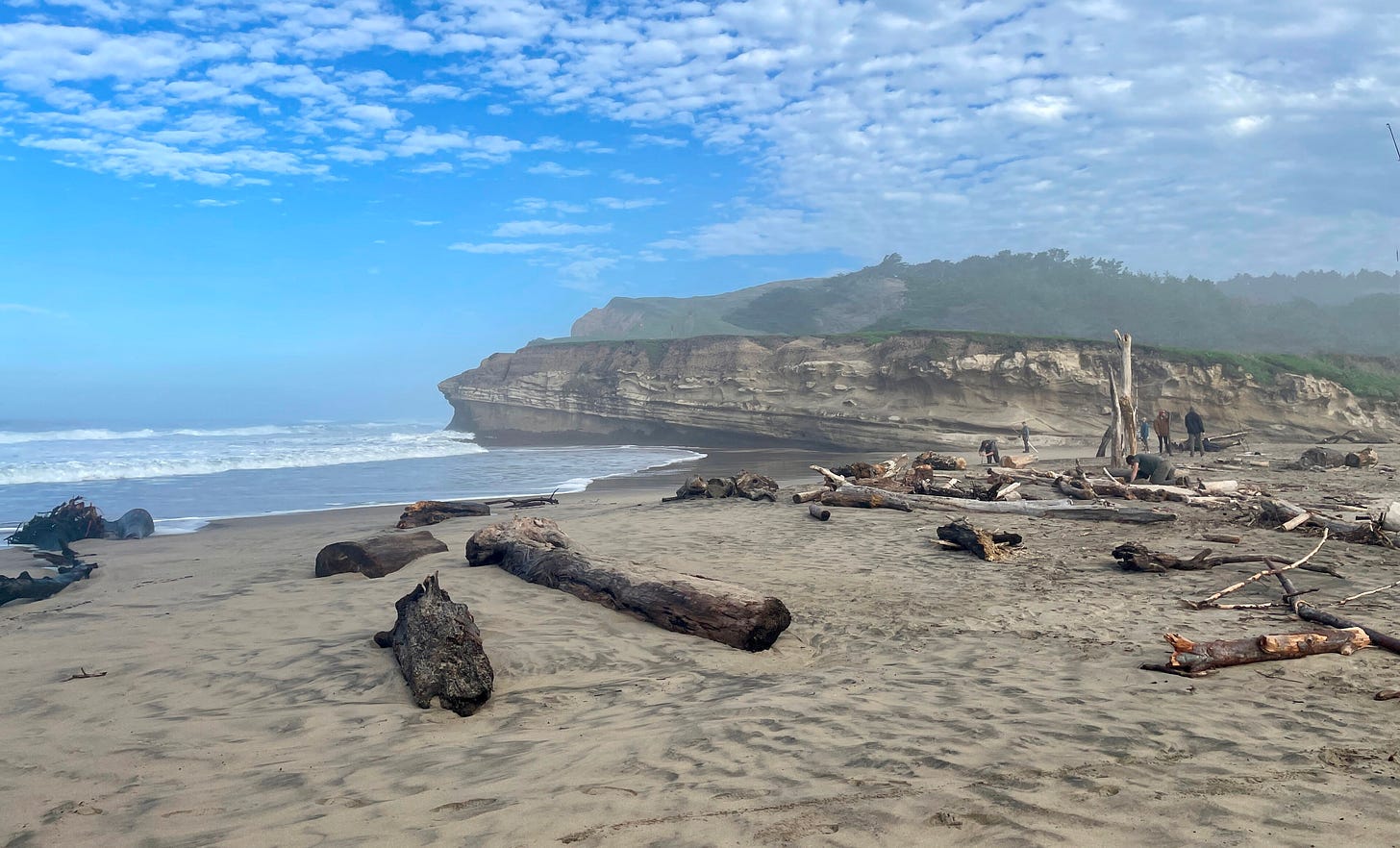 Sand beach scattered with driftwood logs, with layered sandstone cliffs rising through coastal fog in the background and a few distant figures walking the shoreline.