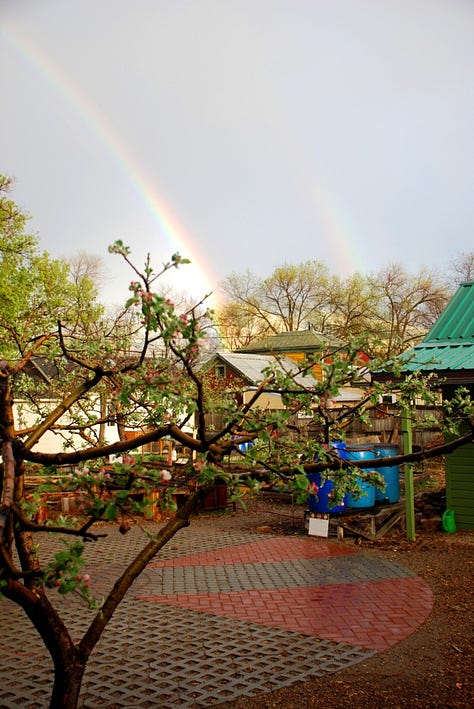A nine-image gallery grid. Top row, left to right: geraniums and other flowers in a yard, a view of hills from the top of a ridge, a rainbow in a neighborhood. Middle row, left to right: Potted plants on a backyard patio, looking through trees to a river and a small village on the far side of the river, an abundant backyard garden. Bottom row, left to right: a chipmunk perched on the edge of a large metal dog bowl, getting a drink, graffiti on a train car, two magpies on a wire fence.