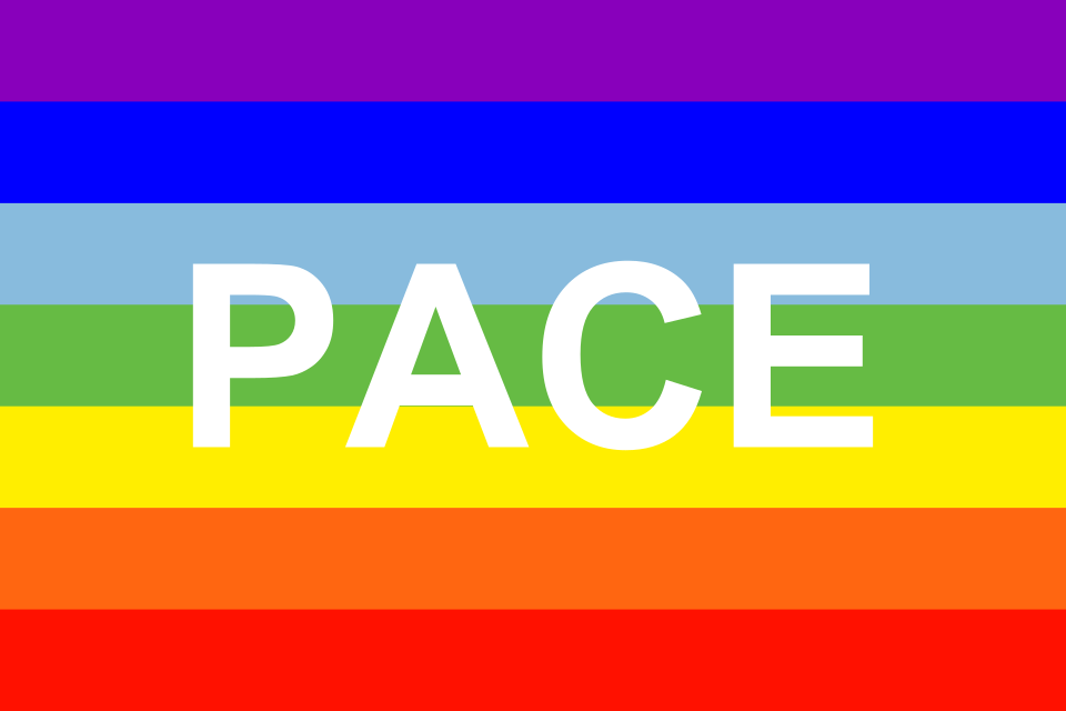 Rainbow flag with PACE (peace) written on it