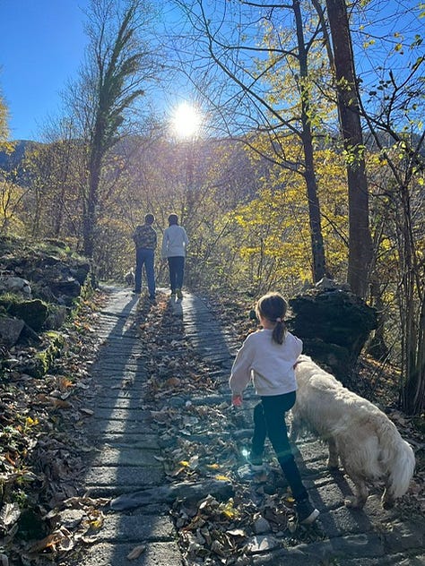 Top L to R: starting at piazza San Martino in Lemna, frost on the trail up, hiking and friends, antipasti e vino, stinco secondo, Coco licking the remains of my pizzocheri plate, homemade cakes for dolce, and the walk down at sunset,