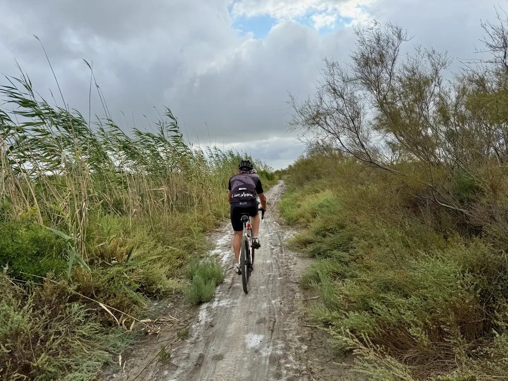 Single vers Sylvéréal