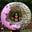 Julia Capallo's avatar