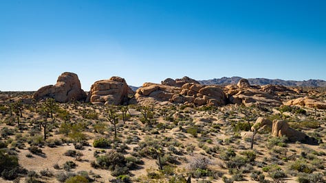 Images of landscapes within Joshua Tree National Park