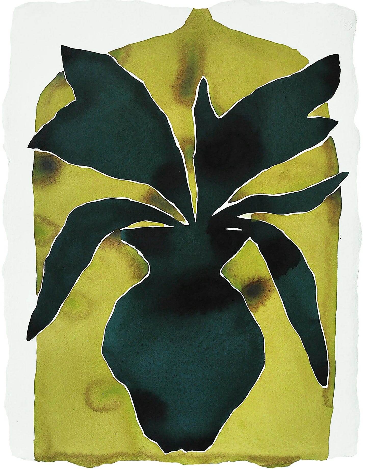 Kate Roebuck, Sacred Arrangement, 2023. Watercolor and ink on handmade paper: a deep green plant with long pointed leaves rising from a dark round vase against a chartreuse ground, with a soft deckled edge. Kate Roebuck, Sacred Arrangement, 2023. Watercolor and ink on handmade paper: a deep green plant with long pointed leaves rising from a dark round vase against a chartreuse ground, with a soft deckled edge.