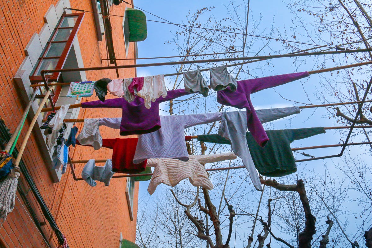 An overhead network of bamboo poles holds sweaters, socks, and shirts aloft in a breeze. Laundry appears like garments in flight against bare winter branches.