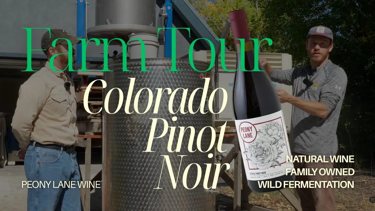 Farm tour at Peony Lane Wine in Colorado showing the winemaker beside stainless steel fermentation equipment and a bottle of natural, wild-fermented Pinot Noir. Farm tour at Peony Lane Wine in Colorado showing the winemaker beside stainless steel fermentation equipment and a bottle of natural, wild-fermented Pinot Noir.