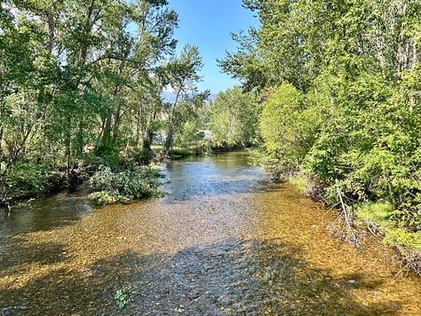 trees, trails, water, bridge, house, mountains