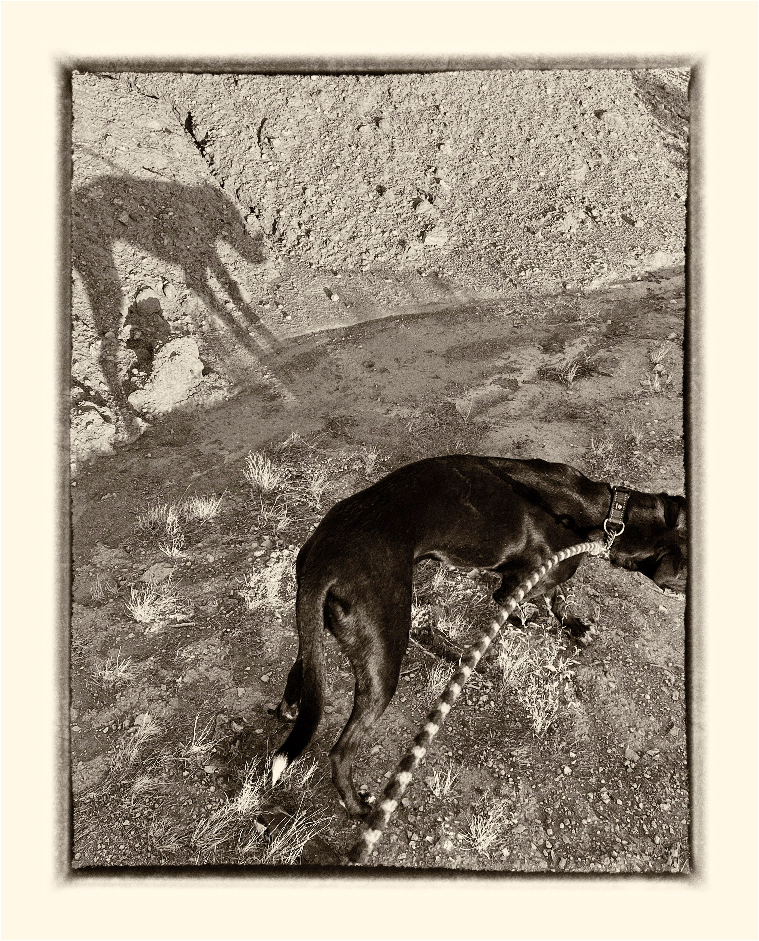 Border Matters - In The Frame: by Don Giannatti