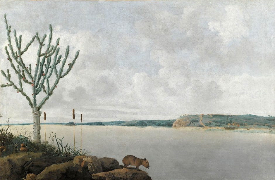 Rio San Francisco and Fourt Maurice - Franz Post - 1625/1650 - Wikimedia Rio San Francisco and Fourt Maurice - Franz Post - 1625/1650 - Wikimedia