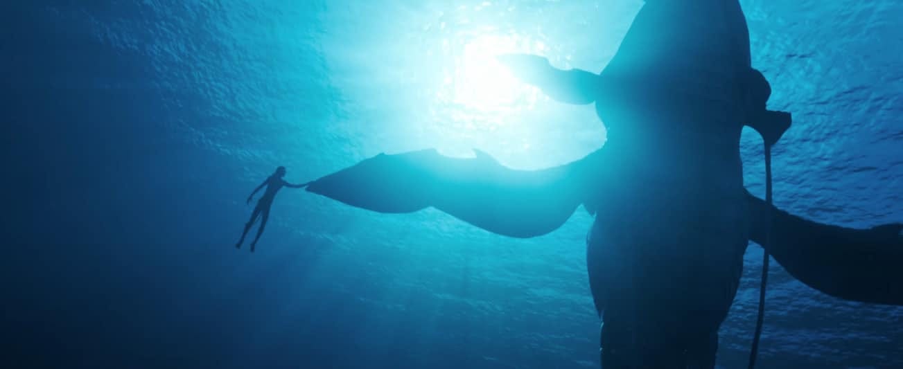 How Did The Upcoming 'Avatar 2: The Way Of Water' Film 3D Underwater? -  DeeperBlue.com