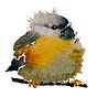 QuietSmile's avatar