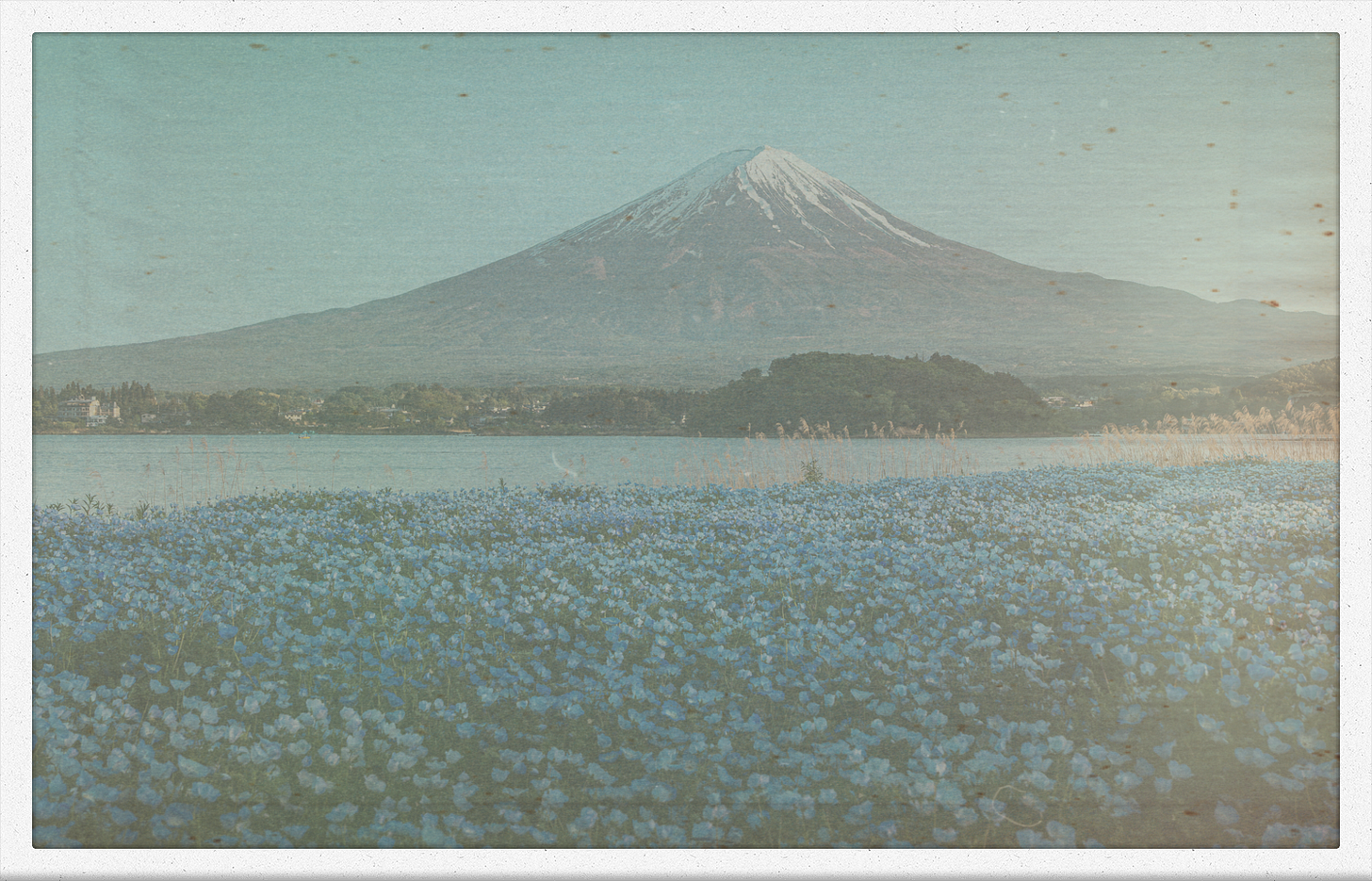 Digital Sleep by Ray Robinson Digital Sleep by Ray Robinson