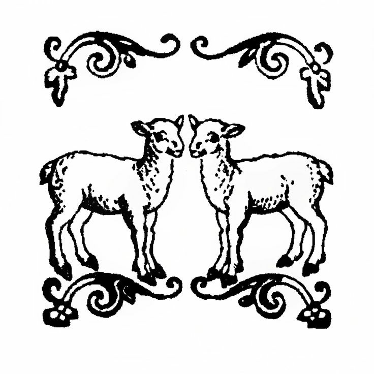 your huckleberry friend