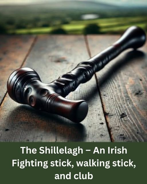 May be an image of text that says "The Shillelagh An Irish Fighting stick, walking stick, and club"