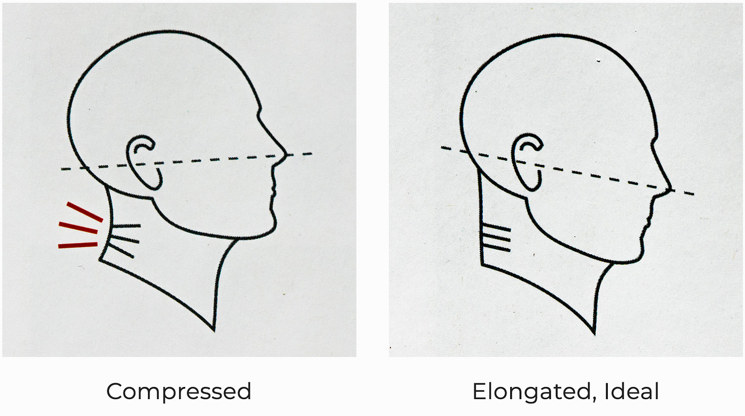 2.3 Mewing is More Than Just Tongue Posture - by Ronald Ead