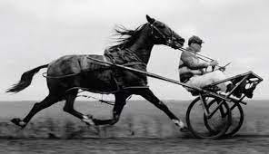 Still Putting the Cart (er "Coach") Before the Horse?