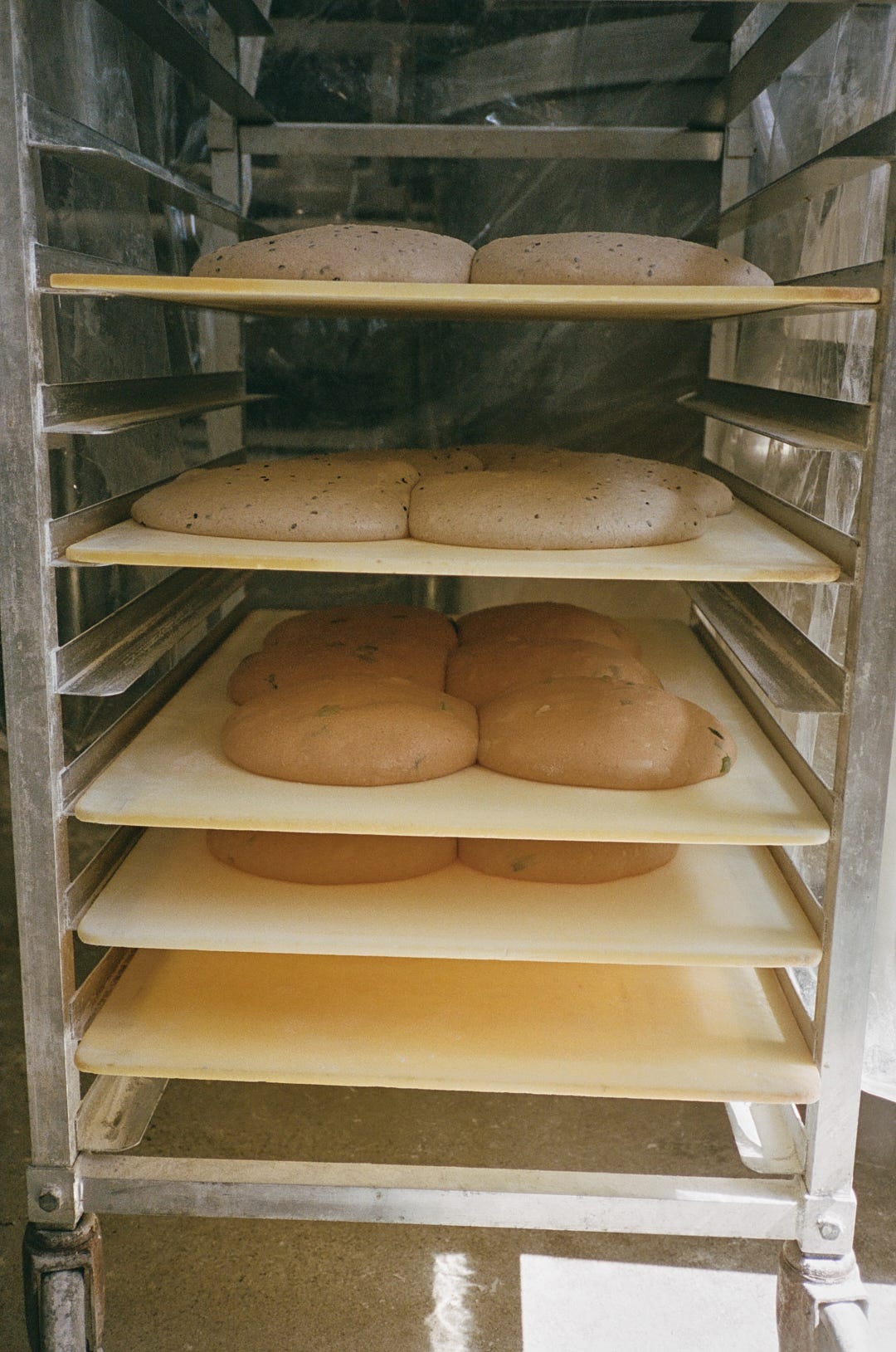 Black sesame and gochujang-sesame dough, resting