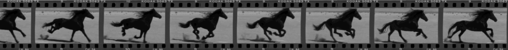 All points in time exist. Yet in each time the horse has stored memories of the past, but it has no memories of any future time. What accounts for this asymmetry? All points in time exist. Yet in each time the horse has stored memories of the past, but it has no memories of any future time. What accounts for this asymmetry?
