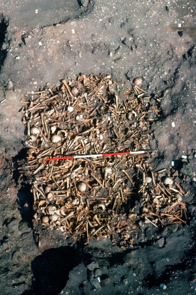 The jumbled remains of at least 264 people were found beneath a mound in Repton’s vicarage garden in the 1980s. 