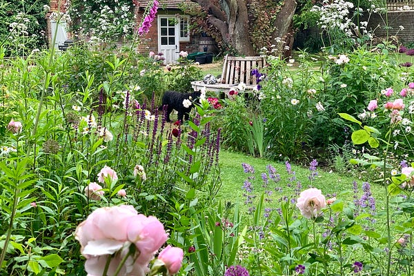 The Gardening Mind by Jo Thompson | Substack