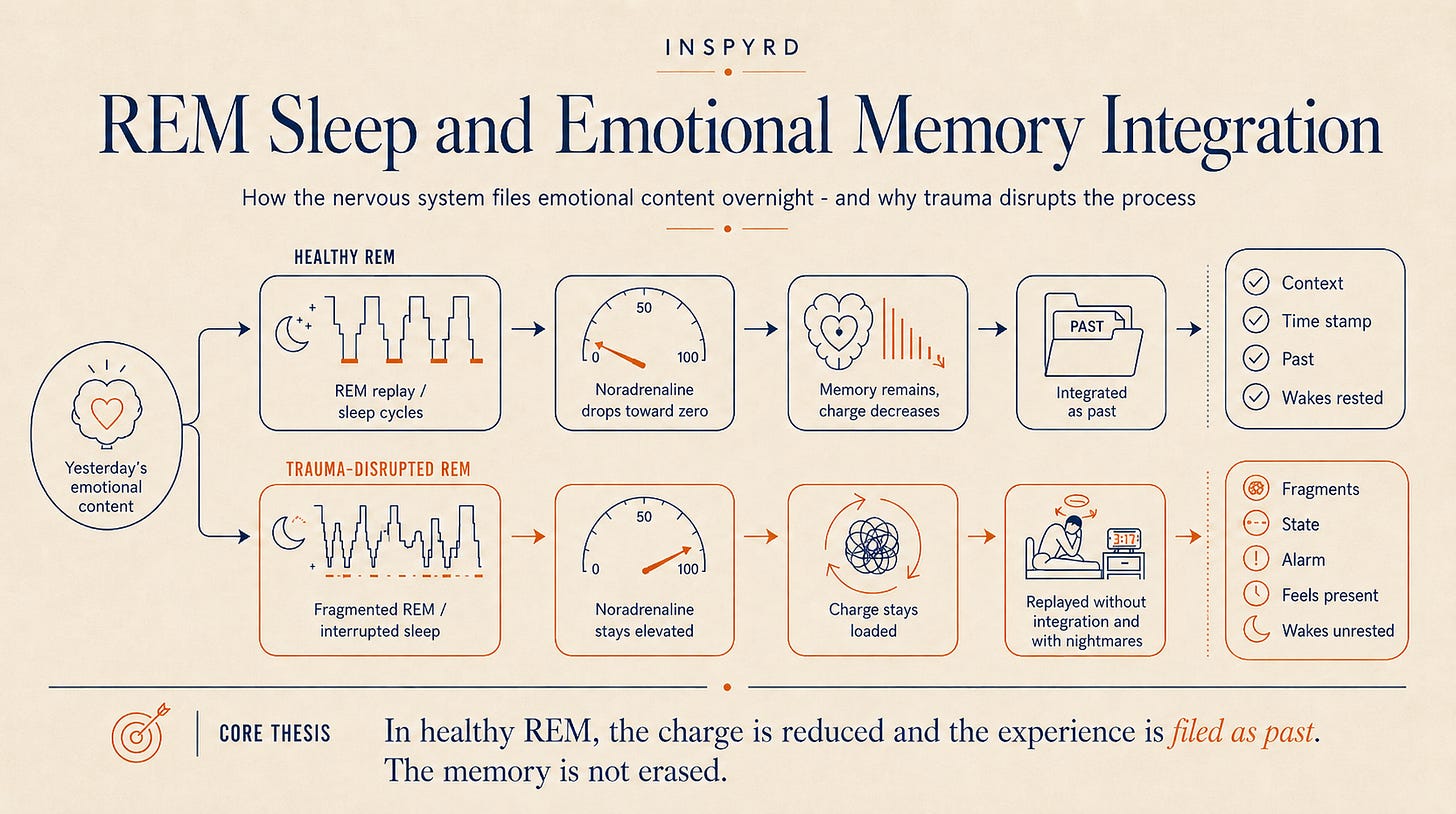 Diagram of REM sleep and emotional memory integration. INSPYRD