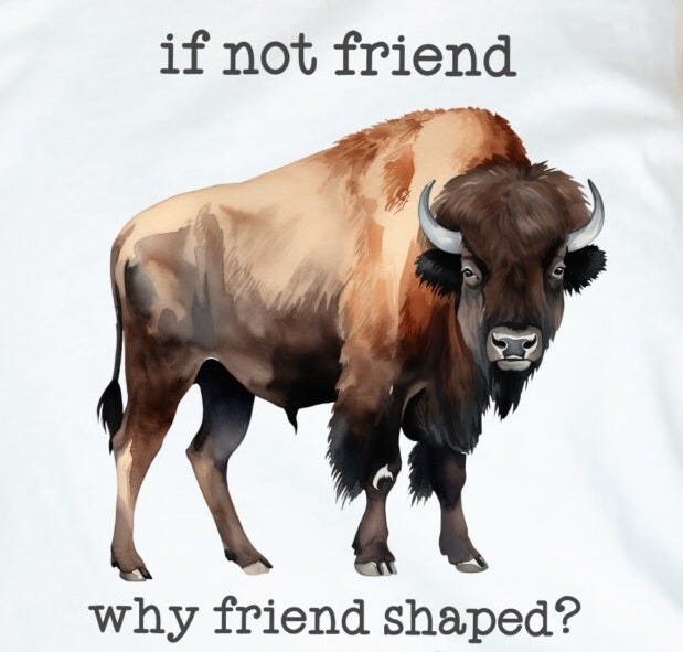 If Not Friend Why Friend Shaped with Bison Unisex Tee - Humor, Nature Lover, Hiker, Backpacker, Outdoor Enthusiast