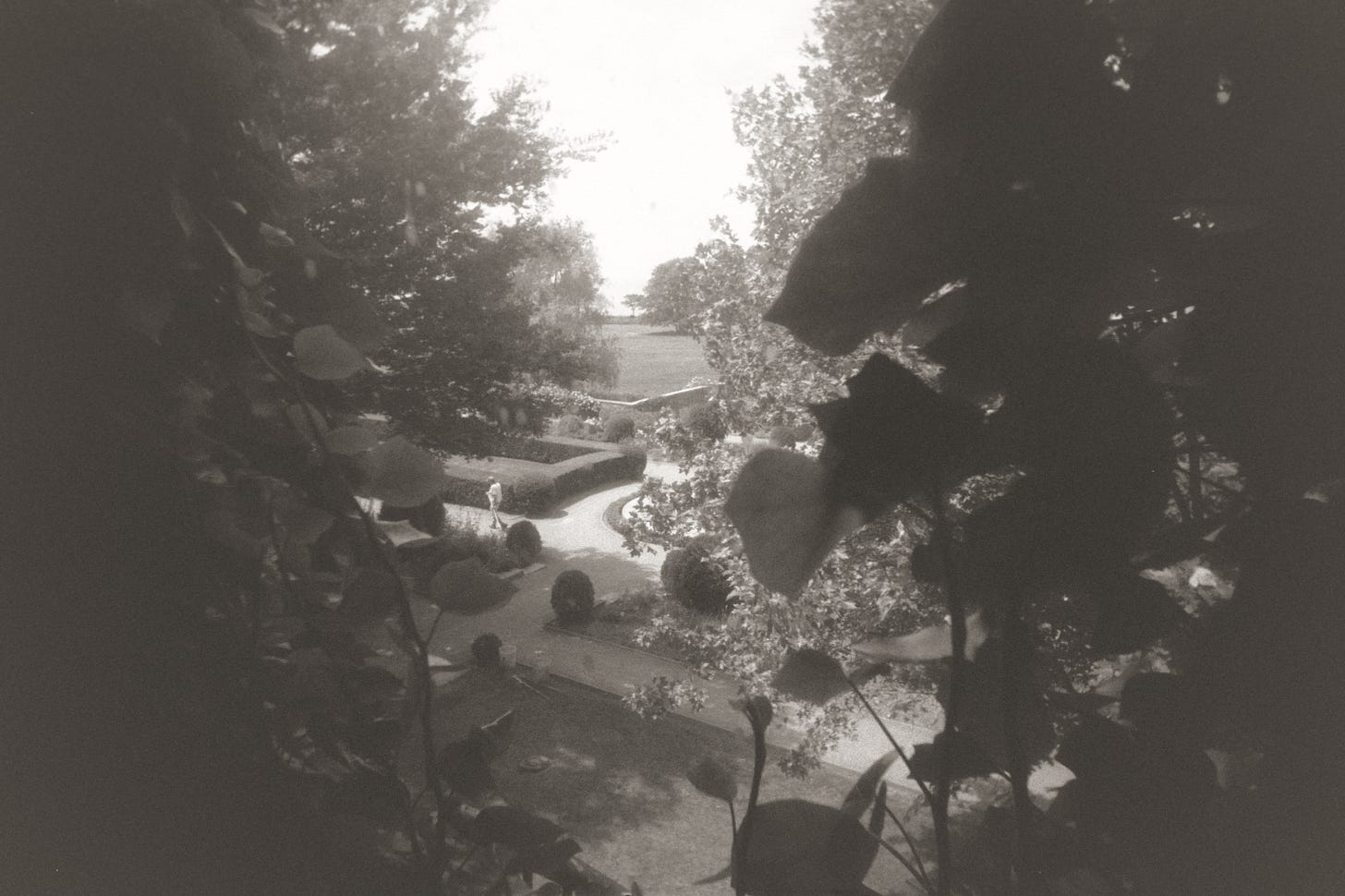 A black and white photograph of a view from an upstairs window—through the vines, a gardener can be seen walking into a hedge maze