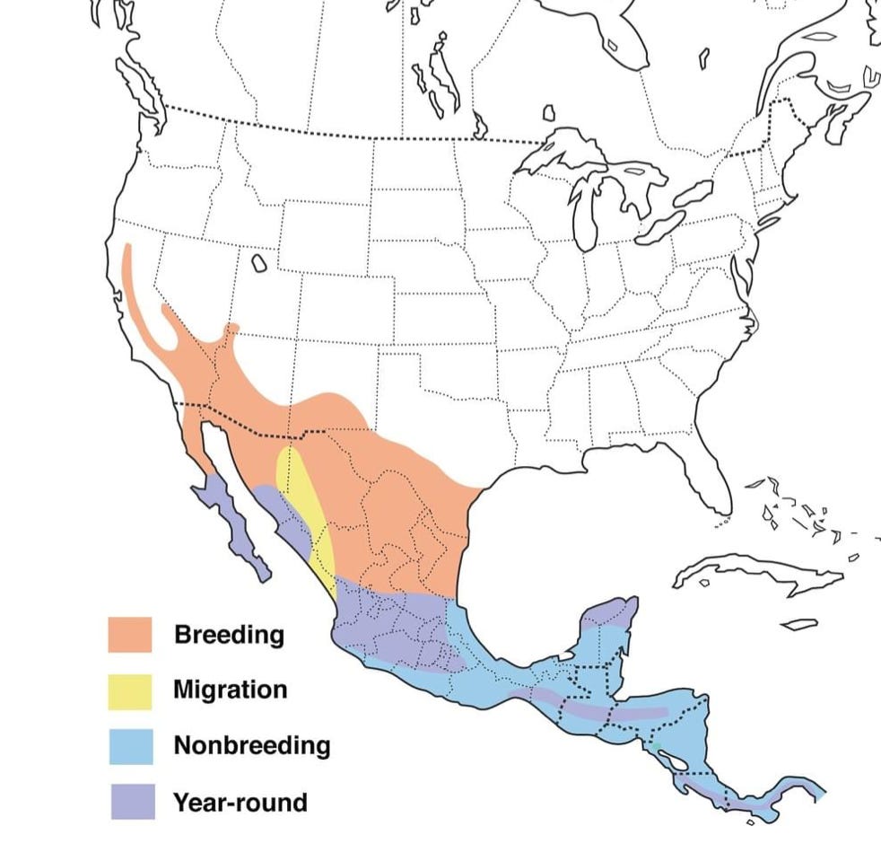 Screen Shot 2020-06-03 at 9.54.49 AM.png Screen Shot 2020-06-03 at 9.54.49 AM.png