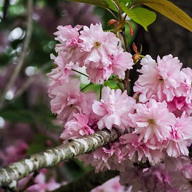 Seasonal Moments in Nature | May 2026