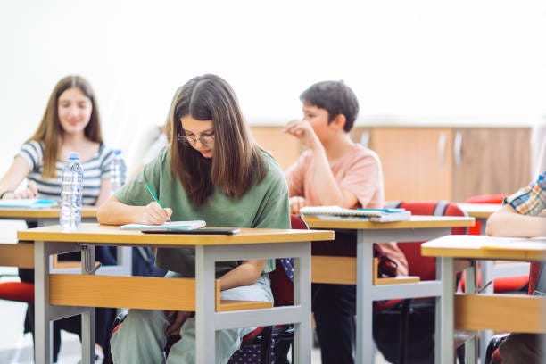 Pupils on class in school