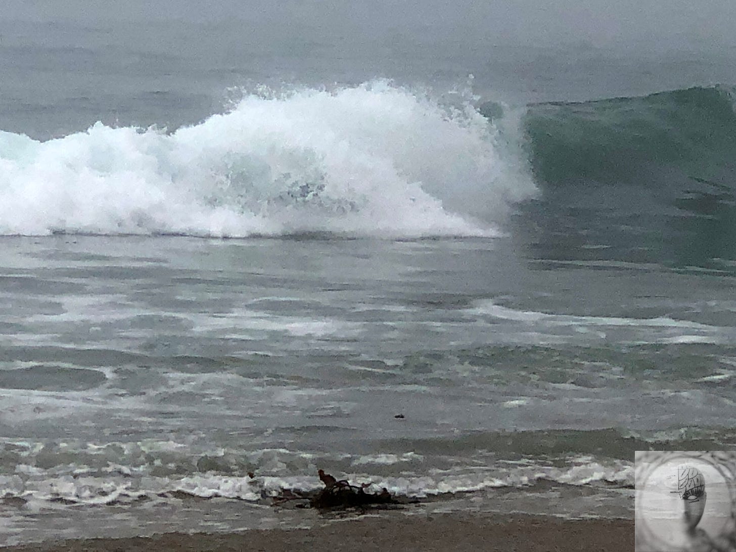Close up of an ocean wave on a foggy day